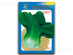 ԭ�N�Ϻ���-��˷N��-�}�ʷN�I(y��)