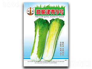 ������9̖(h��o)-�ײ˷N��-�}�ʷN�I(y��)