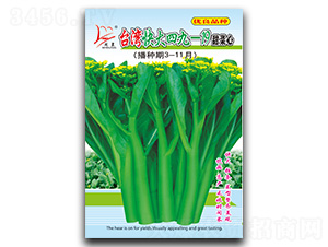 �_������ľ�һ19�����-���ķN��-�}�ʷN�I(y��)