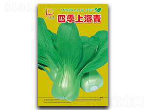 �ļ��Ϻ���-��˷N��-�}�ʷN�I(y��)