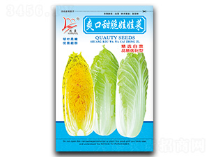 ˬ��������޲�-���޲˷N��-�}�ʷN�I(y��)