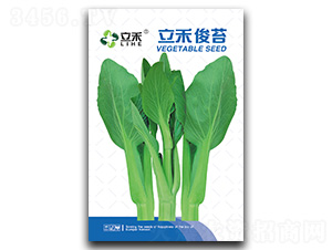 ���̿�̦-��̦�N��-�}�ʷN�I(y��)