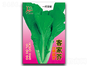 �ͼҽ������-��˷N��-�}�ʷN�I(y��)