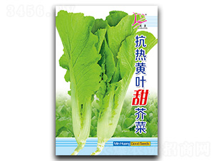 �����S�~����-��˷N��-�}�ʷN�I(y��)