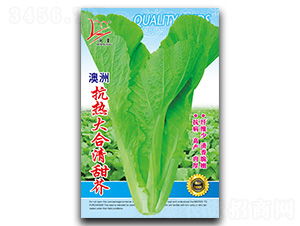 �����������-��˷N��-�}�ʷN�I(y��)