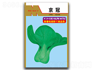 ����-��˷N��-�}�ʷN�I(y��)