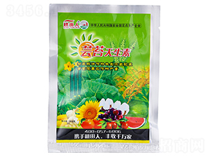 �|̦������-ʮ��ڱ������˶��fЧ����-������