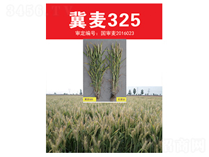 ����325-С���N��-��(li��n)