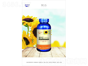 ������(zhu��n)�àI(y��ng)�B(y��ng)�{(di��o)��(ji��)��-�����^-һ����