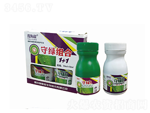 �ؾG�M��1+1-�ú���-������