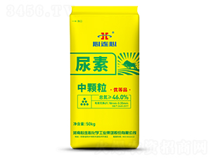 ���w������-���B��