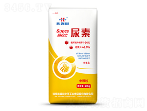 ����ʿ����-���B��