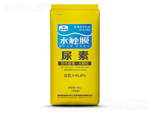 ˮ�|Ĥ��ʧ����-���B��