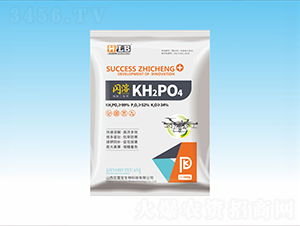 �W����������-���ٌ�����