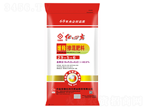 ��ጓ������29-5-6-�t�ķ�