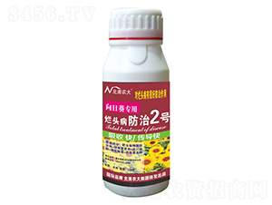 ���տ����à��^������2̖-�����r(n��ng)��