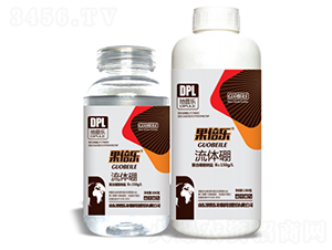 ���w��ƿ��-������-���՘�