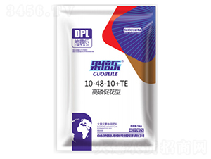 ���״ٻ��͛_ʩ��10-48-10+TE-������-���՘�