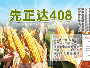 �����_(d��)408-���׷N��-�����N�I(y��)