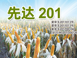 ���_(d��)201-���׷N��-�����N�I(y��)