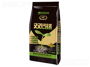 �p�}�V�����{(di��o)�턩-�Ƴ�����