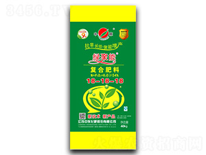 �G���܏ͺϷ���18-18-18-�Ж|