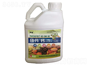 �~���}-���Z�S