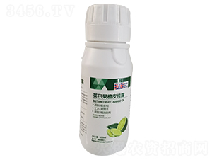 100mlӢ������Ƥ��¶-Ӣ����