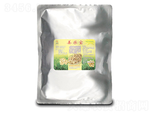 ������-��(gu��)̩��