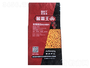 ���嵰��΢�������-������-������