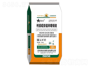 �}�V���F�i�\���~�f-����·ʘI(y��)