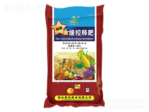 ����ጷ�28-6-6-����