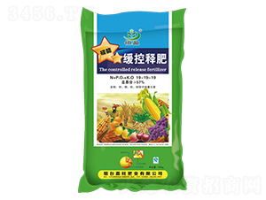 ����ጷ�19-19-19-����