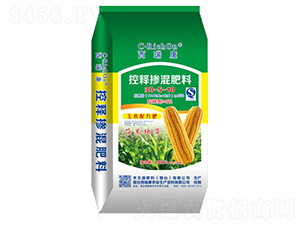 ��ጓ������30-5-10-��֮��