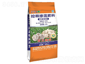 ���⌣�ÿ�ጓ������18-11-21-��֮��