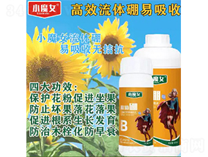 ���w��-СħŮ-���н�