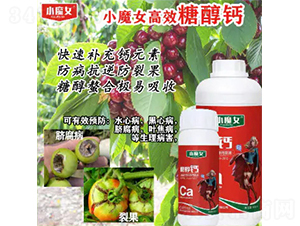 �Ǵ��}-СħŮ-���н�