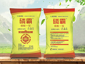 ����һ�@11-49-0-�װ�-����r(n��ng)�Y