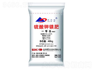 �۠�������V��-�_����