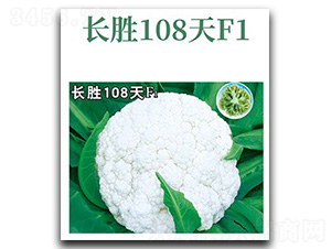 長勝108天-花椰菜種子-文興