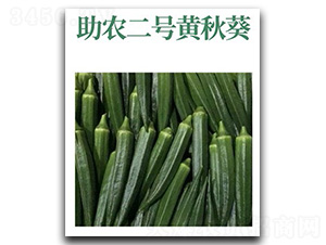 ���r(n��ng)��̖-�S����N��-���d