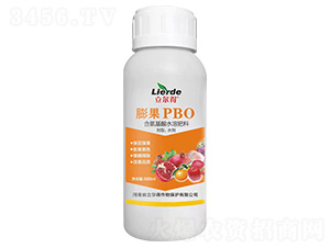 ���PBO-������