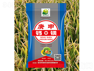 ���������}+�V��-�����r(n��ng)�I(y��)