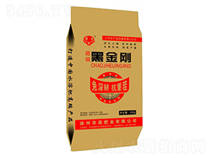 �����ڽ���-�A���ʘI(y��)