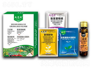 真菌、細菌、病毒解決方案-標正農化