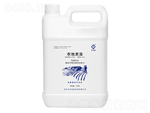 農(nóng)地美藻-農(nóng)地美