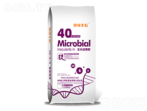 �����m�÷�-�к��S��-�к����ʘI(y��)