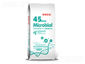 小麥適用肥料2型-中海豐耘-中?；蕵I(yè)