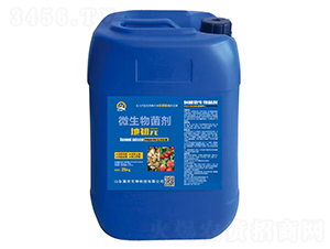 �F��΢�������-�س�Ԫ-���r����