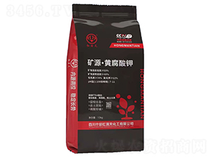 �VԴ���S�����-�t�M��